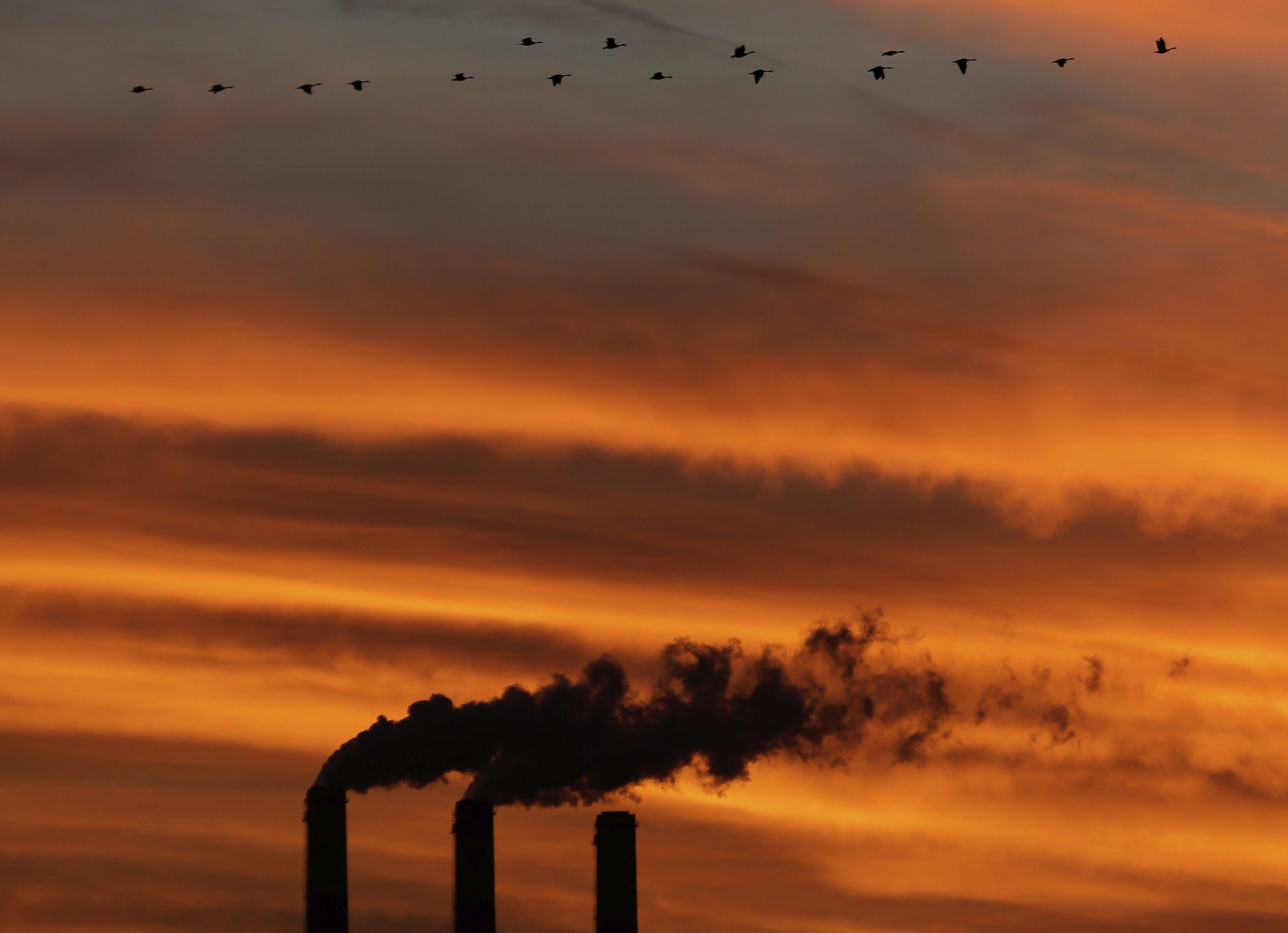 Examiner Editorial: Vulnerable Senate Democrats fear impact of new EPA rule