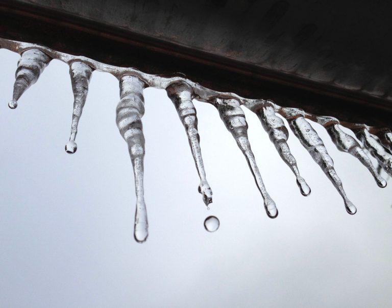 (AP/Dallas Morning News)