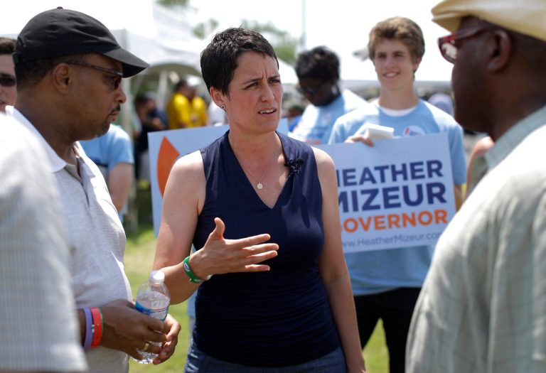 Heather Mizeur is running for governor as the liberal in a packed Democratic primary to replace term-limited Gov. Martin O'Malley. (AP Photo/Patrick Semansky)