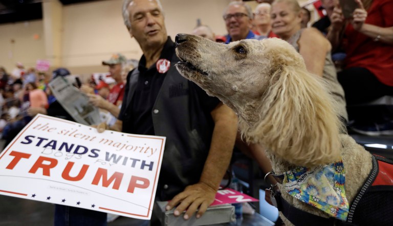 At least 34 times on Twitter, the president has used canine-inspired vocabulary to attack his enemies. (AP Photo/Chris O'Meara)