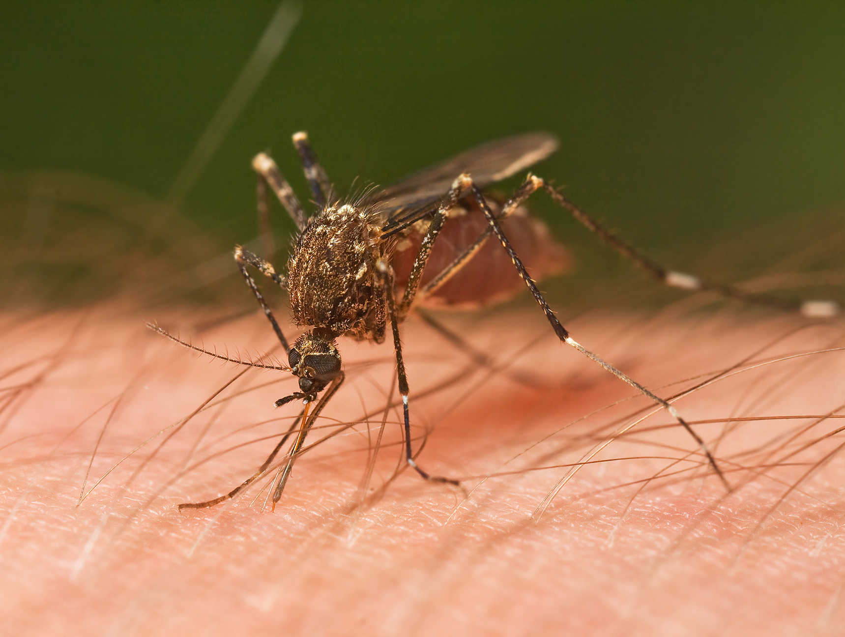 Congress Should Spend More on Zika Response