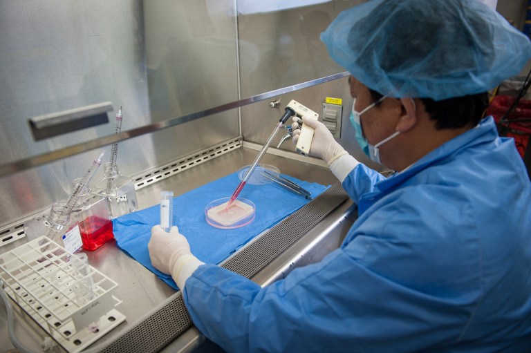 In this photo issued by Wake Forest Institute for Regenerative Medicine and taken in April 2014, Yuanyuan Zhang, M.D., Ph.D, assistant professor at the Institute, demonstrates the process to engineer a vaginal organ in a laboratory in Winston Salem, N.C. Scientists report in two separate studies they have made vaginas and part of the nose, providing more evidence that growing organs in the laboratory is possible. Researchers have previously made windpipes, bladders, tear ducts and other organs in the lab. The two latest papers were published online Friday April 11, 2014 in the journal, Lancet. (AP Photo/WFBMC Photography)