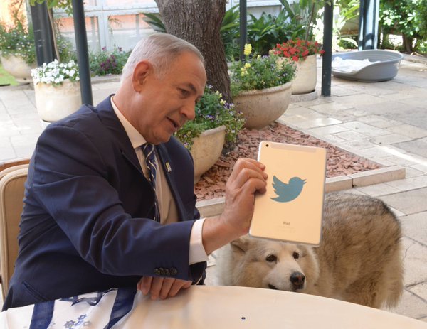 Weird Week in (Internet) Politics: Bibi on Twitter, Trump LOVES Chocolate, Law is Hard