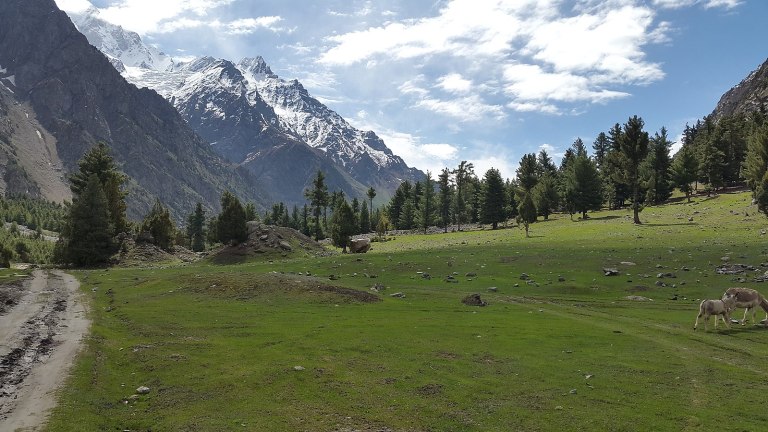 Prufrock: Walker Percy Diagnoses the American Malaise, Thomas Jefferson’s Ivory Polyptych, and Early Modern Honor