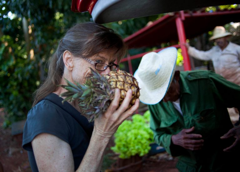   In this Dec. 8, 2012 photo, U.S. chef Kelsie Kerr smells a pineapple while shopping for fruit and vegetables at a farm in Havana, Cuba. Kerr traveled to Cuba with the California based 