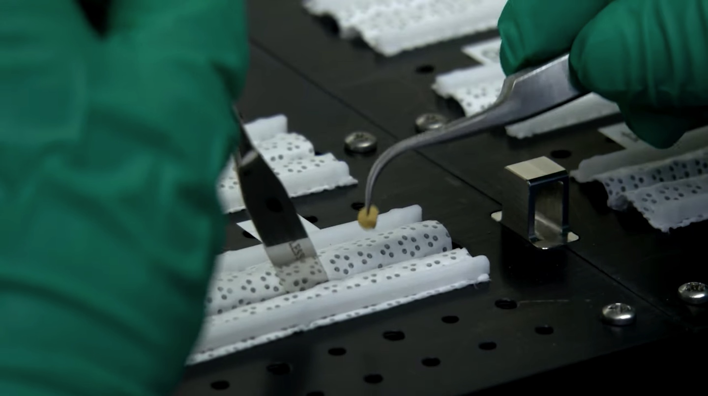 Astronauts plant chili peppers in space