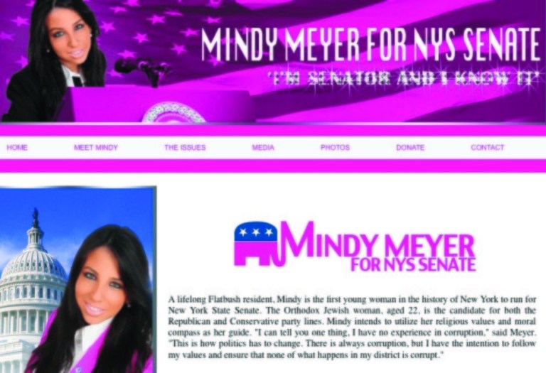 Snooki-esque figure seeks office in N.Y.