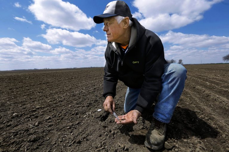 FILE - In this April 15, 2014 file photo, central Illinois corn and soybean farmer Garry Niemeyer inspects the soil temperature and the sprouting of corn seeds he planted earlier as a test in Auburn, Ill. Many central Illinois farmer still hadn't begun the annual ritual on Tuesday, April 22, 2014, because fields simply are too wet or too cold to be receptive to fragile seeds. It's a scenario playing out across much of the nation's corn belt, where efforts by farmers to get their crops in the ground still are sputtering _ similar to last year, when one of the wettest springs on record got farmers in many states off to the slowest start in decades. (AP Photo/Seth Perlman, File)