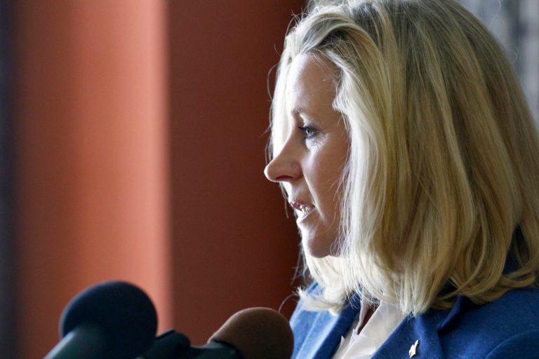 Liz Cheney, daughter of former Vice President Dick Cheney, is challenging Sen. Mike Enzi, R-Wyo., for his Senate seat. (AP File)