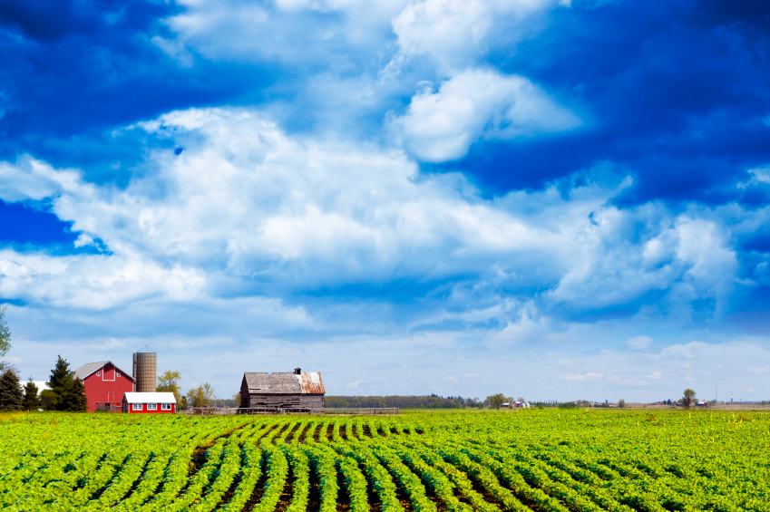 Farmers’ complaint: If immigrants aren’t worried about deportation, we’d have to pay them more