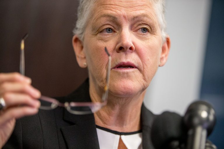 EPA Administrator Gina McCarthyÂ directed the agency's regional offices to halt investigative work at the mines unless there is 