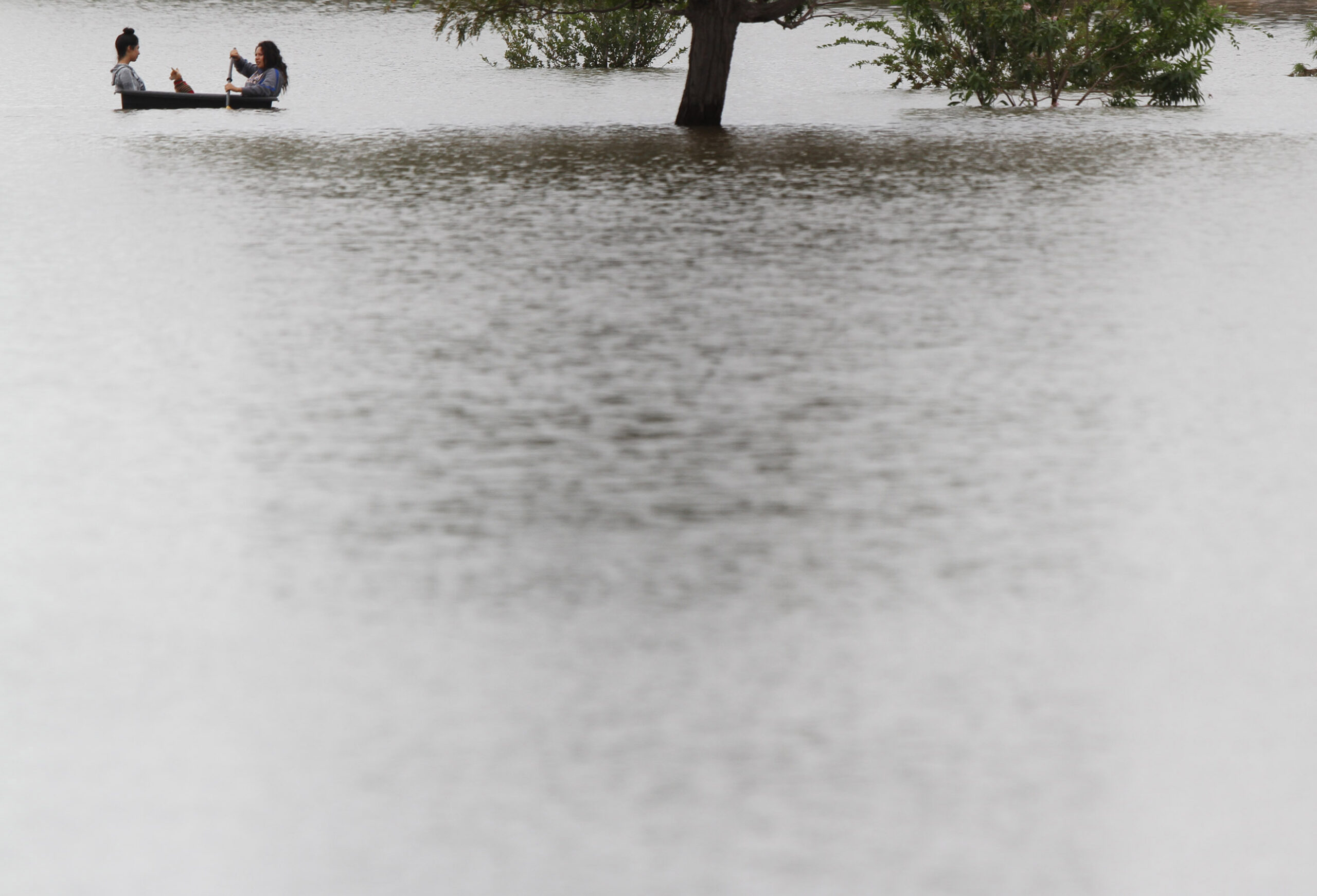 El Nino forecast to help Texas out of drought