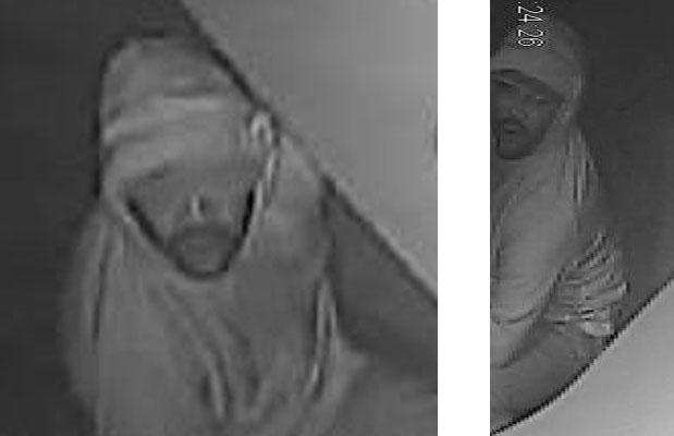 Alexandria burglary suspect