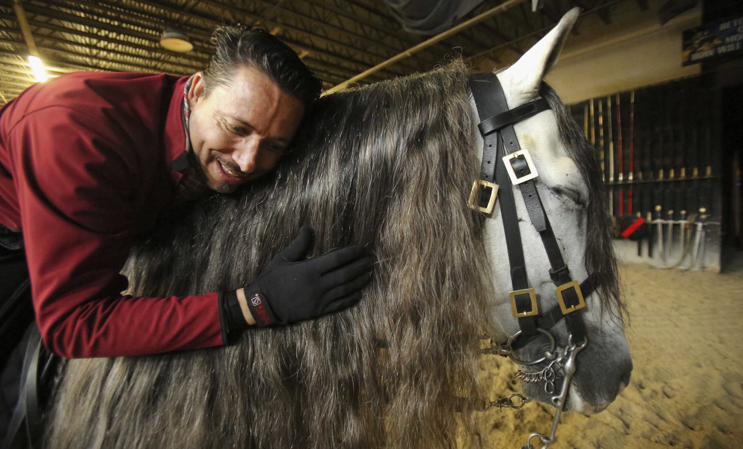 EXCHANGE: Elgin man trains ‘Medieval’ stallions