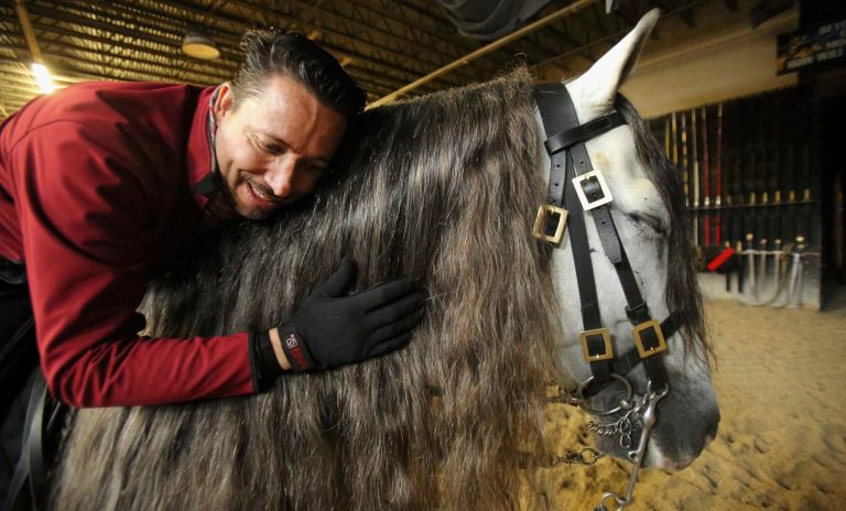 In this April 30, 2014 photo, Mario Contreras is seen at Medieval Times in Hoffman Estate, Ill., where he is the head horse trainer. As head horse trainer, the 42-year-old Elgin resident often works a seven-day week. (AP Photo/Daily Herald, Steve Lundy)  MANDATORY CREDIT, MAGS OUT