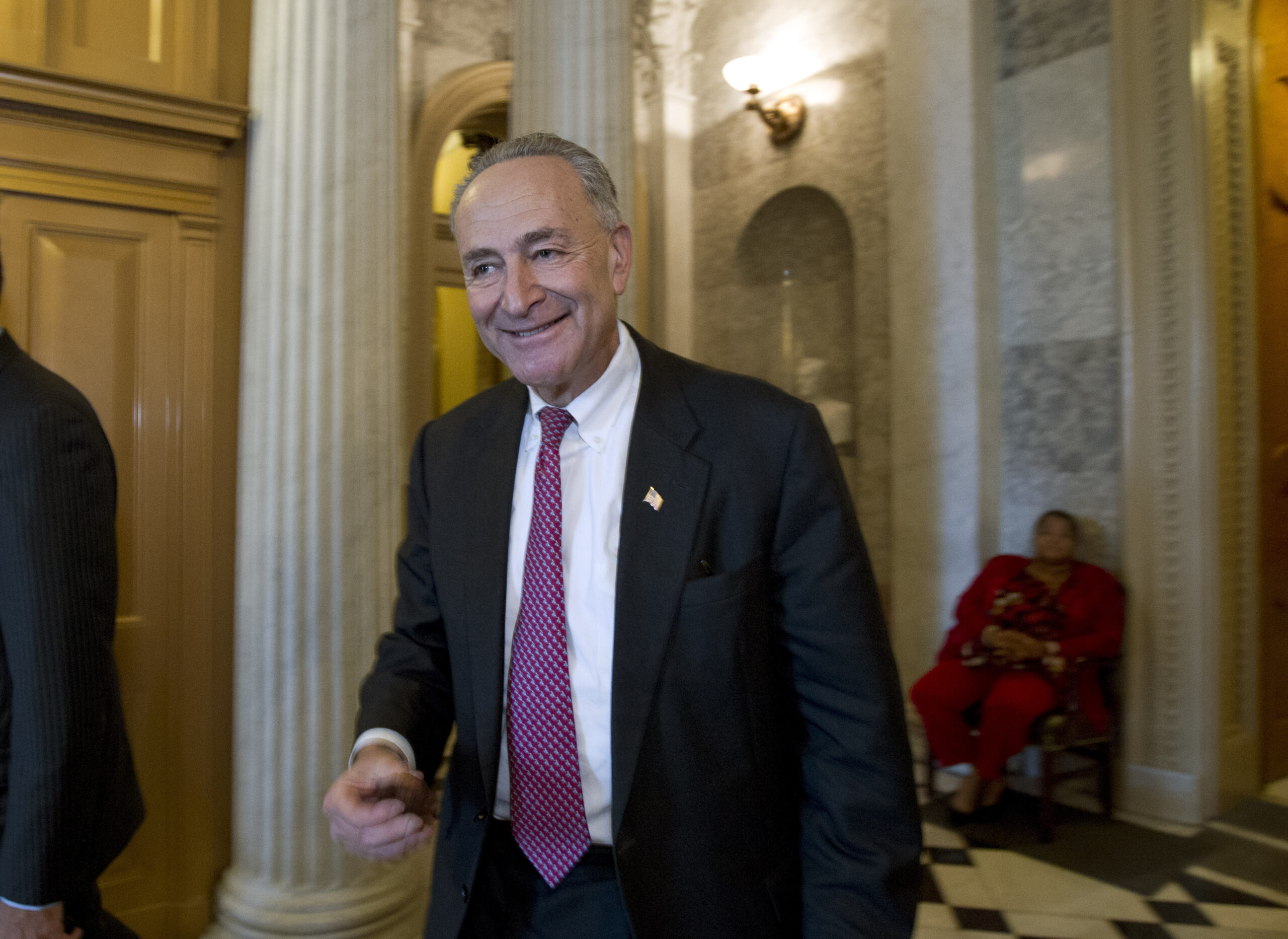 Chuck Schumer reveals new strategy for subduing the Tea Party
