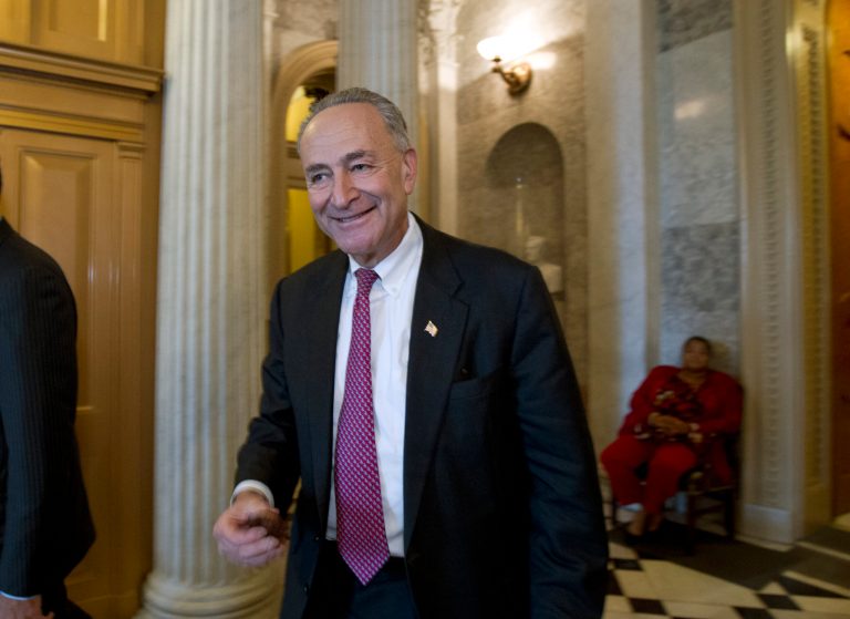 Sen. Chuck Schumer, D-N.Y., offered a new strategy for dividing and conquering the Tea Party in a speech Thursday. (AP/Jose Luis Magana)