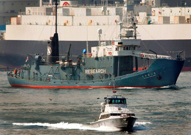 In this March 12, 2010 file photo, a Metropolitan Police Department boat, foreground, escorts the Japanese research whaling vessel to Harumi pier in Tokyo, carrying anti-whaling activisit Pete Bethune. (AP Photo/Itsuo Inouye, File)