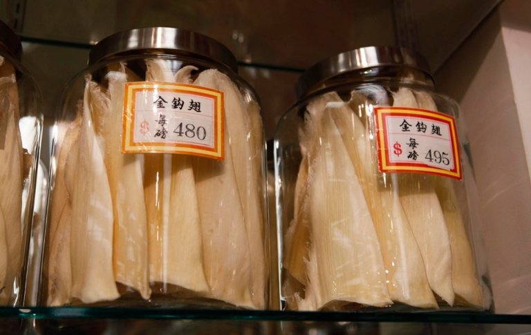 Shark fins sell for nearly $500 a pound in San Francisco. AP Photo.