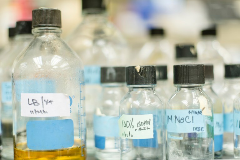 It’s a challenging year, both in terms of the political dynamic being a presidential and a congressional election.