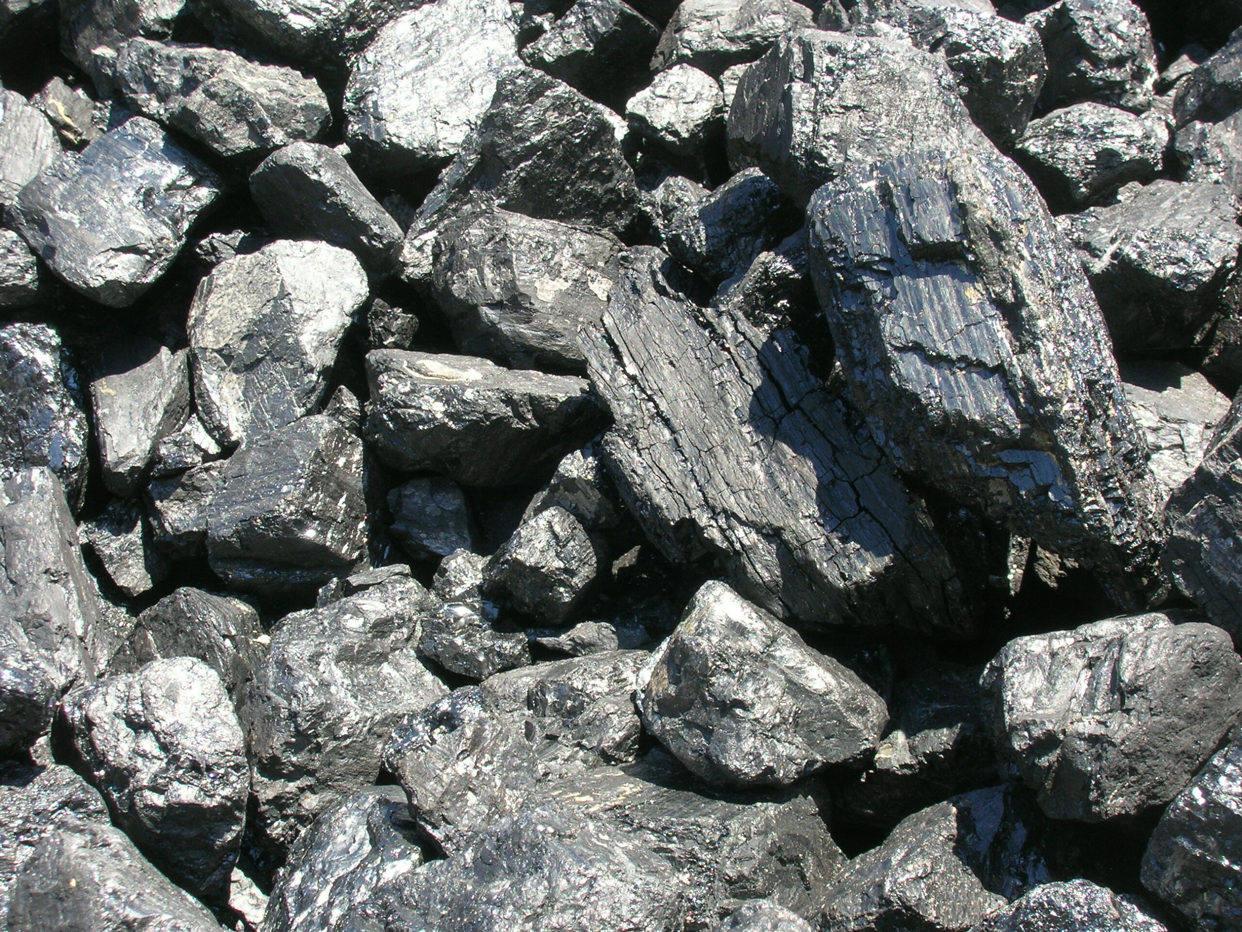 Is There a War On Coal?