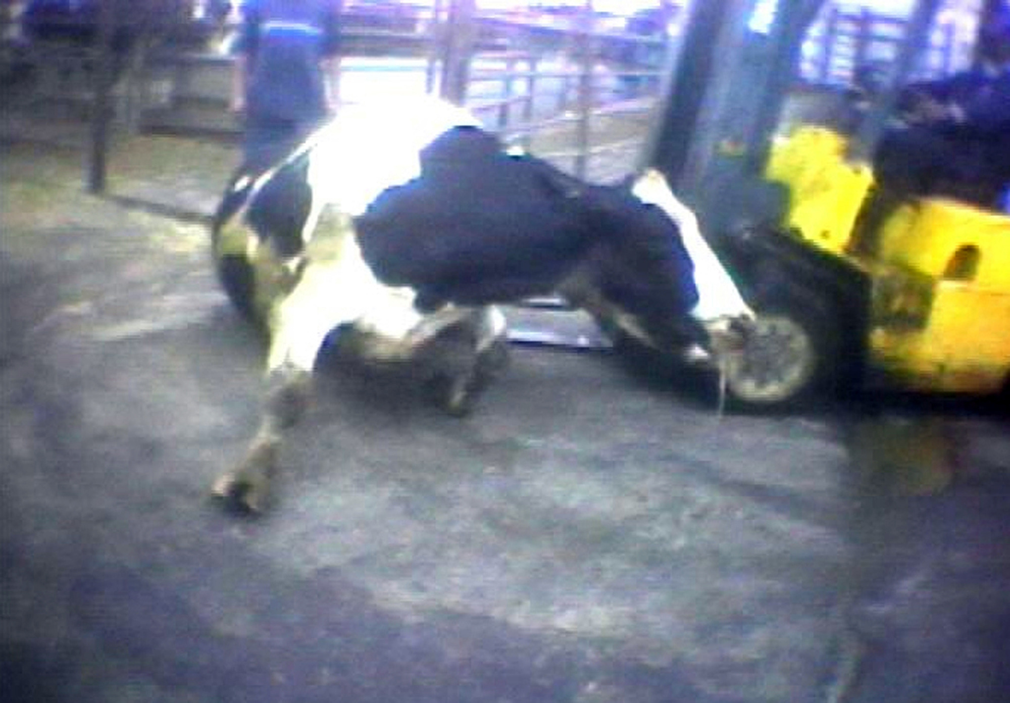 2 ag-gag laws facing federal court challenges