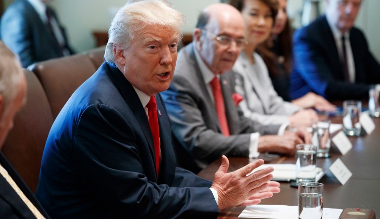 President Donald Trump speaks during a cabinet meeting in the Cabinet Room of the White House, Monday, July 31, 2017, in Washington. (AP Photo/Evan Vucci)