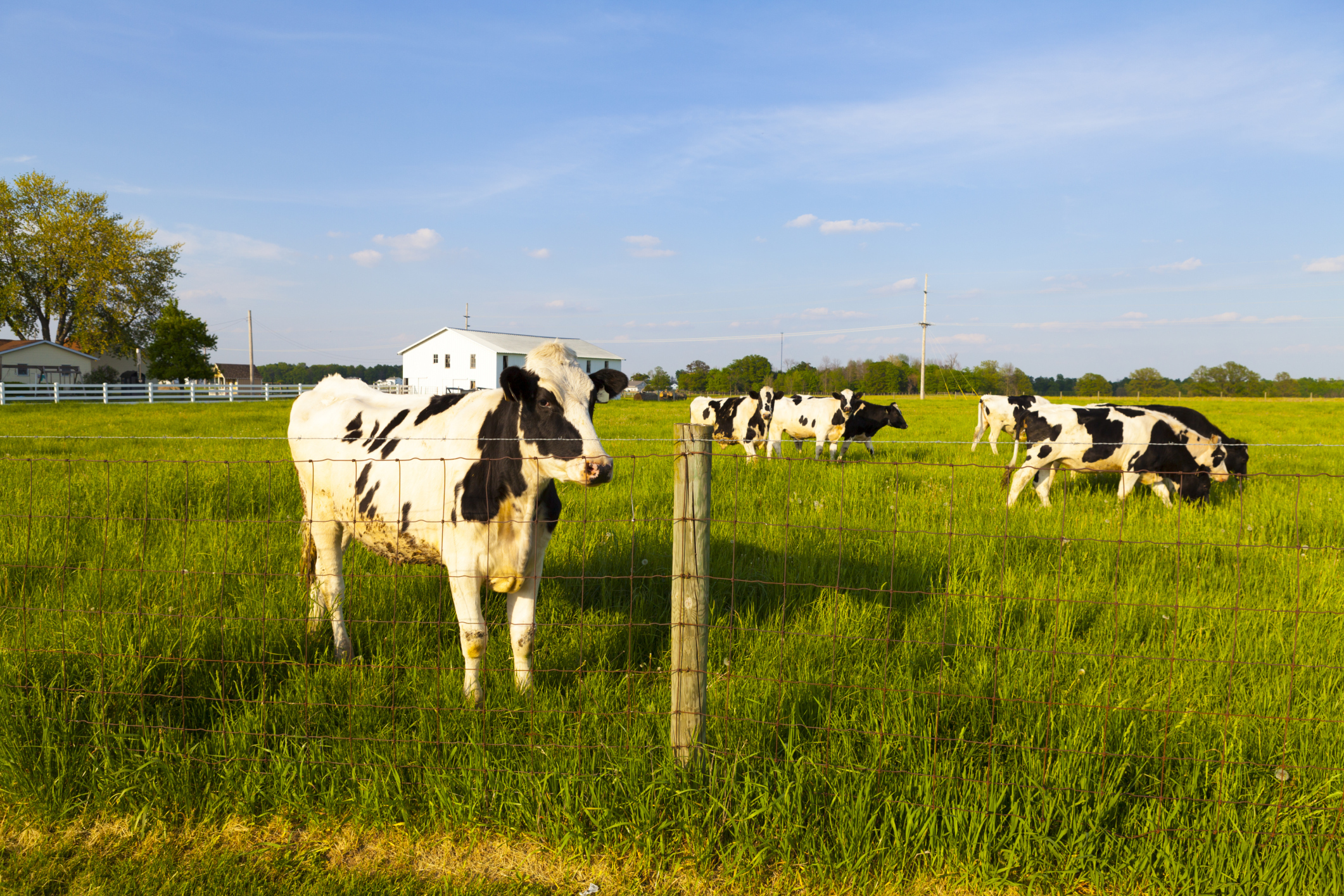Senators concerned over growing agricultural trade deficit