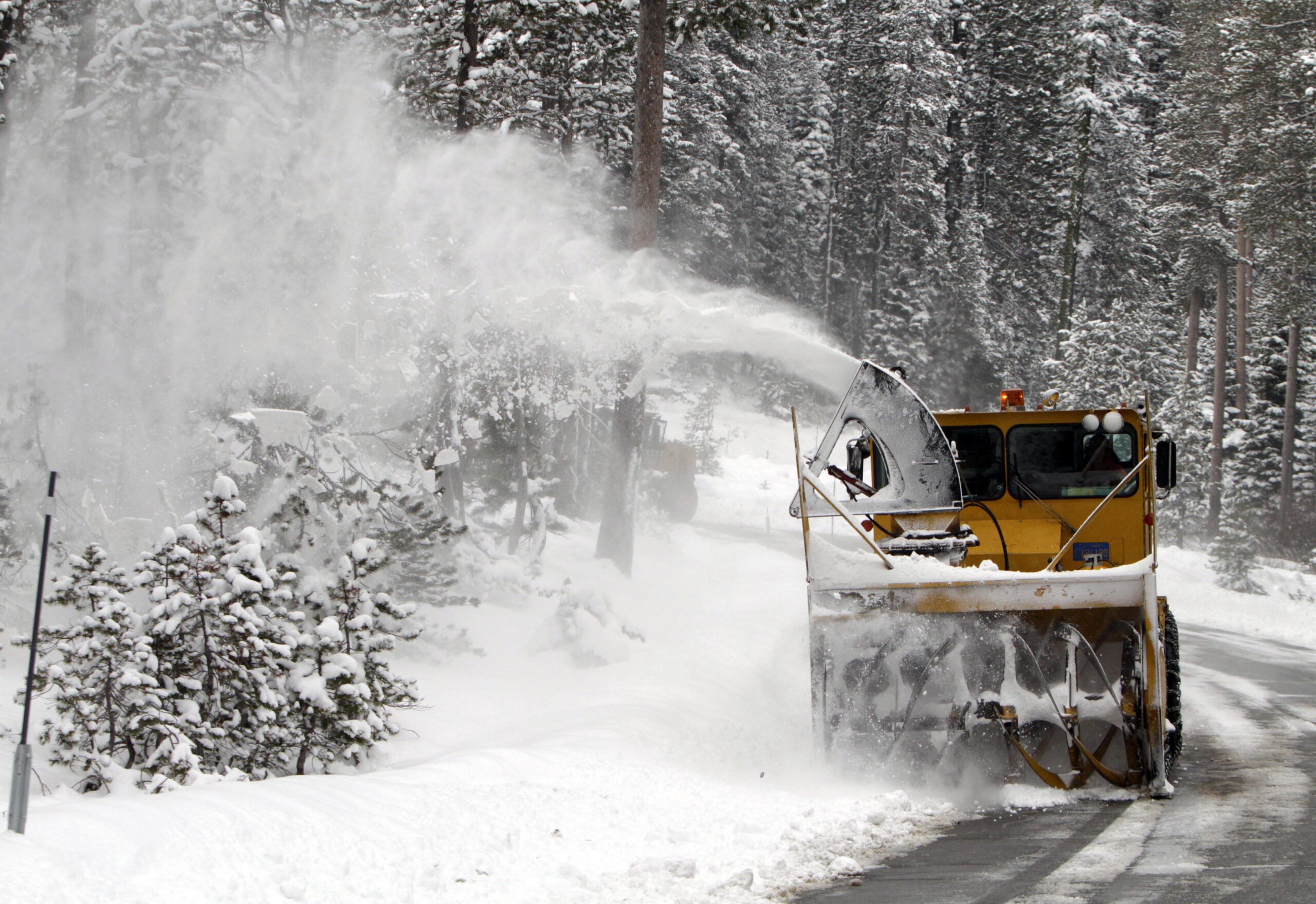 Wild winter this year? Not likely, NOAA forecasts