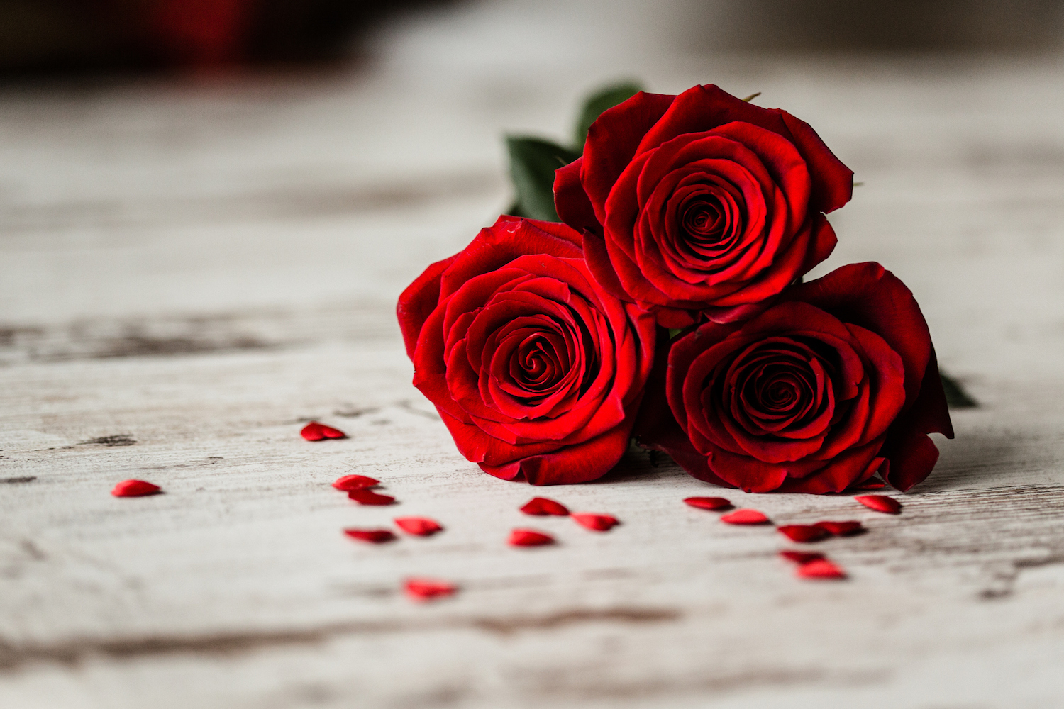 Celebrate free trade and Valentines Day with the best of #TradeValentines