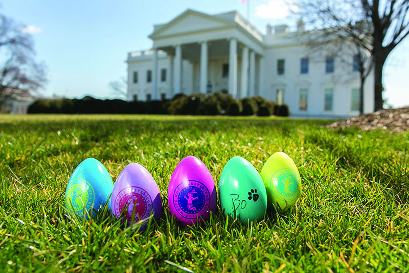 Bo Obama’s ‘signature’ adorns Easter eggs