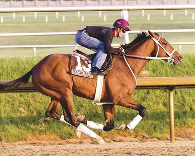 Photo courtesy of Jim McCue/MJC
Done Talking likely will be a long shot in the Kentucky Derby, but his ability to run in the stretch could give him a chance.