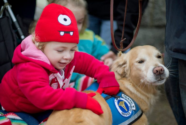   FILE - In this Tuesday, Dec. 18, 2012 file photo, Addison Strychalsky, 2, of Newtown, Conn., pets Libby, a golden retriever therapy dog, during a visit from the dogs and their handlers to a memorial for the Sandy Hook Elementary School shooting victims in Newtown. As the shock of Newtown's horrific school shooting starts to wear off, as the headlines fade and the therapists leave, residents are seeking a way forward through faith, community and a determination to seize their future. (AP Photo/David Goldman, File)  
