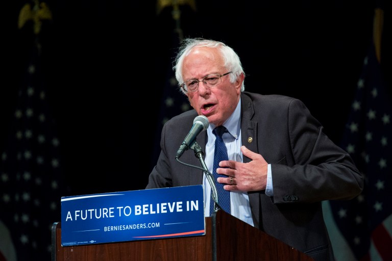 Jill Stein, the likely presidential candidate for the Green Party, offers Bernie Sanders her party's ticket. (AP Photo/Craig Ruttle)