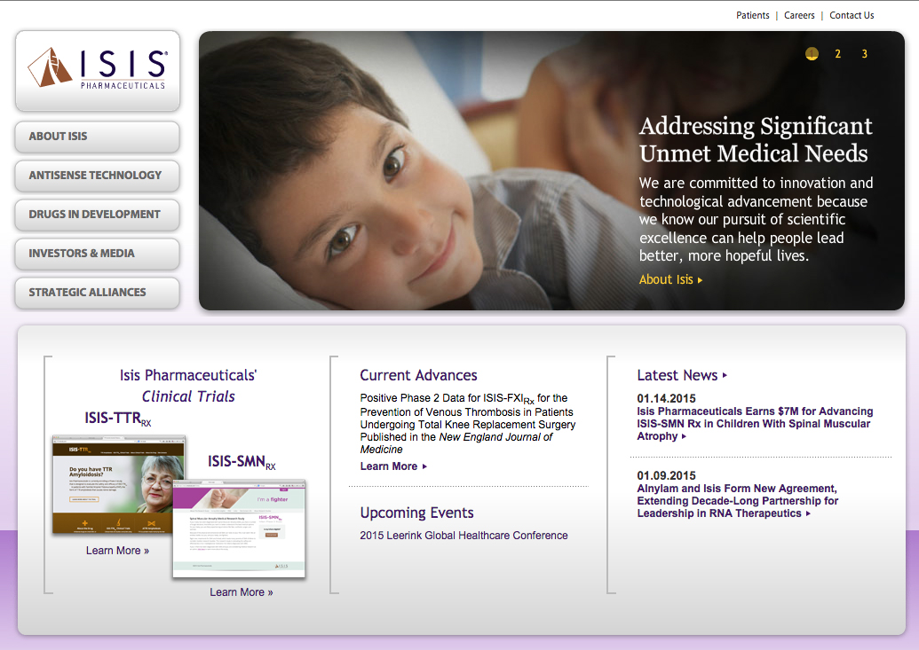 Don’t call me ISIS: Groups grapple with sharing initials with Islamic State