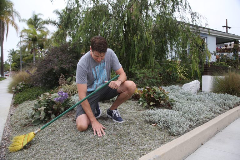 This Aug. 8, 2014 photo shows Rick Blankenship and his- lawn at his home in Long Beach, Calif. As Californians face a historic drought, more people are tearing out thirsty grass lawns to cut down on water use. (AP Photo/Nick Ut)