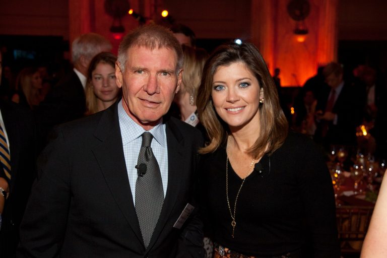 Harrison Ford event gets overtaken by Occupy DC