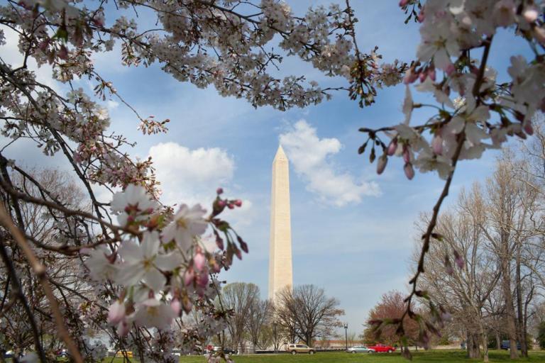 Summertime in the winter: D.C. high a record 82 degrees