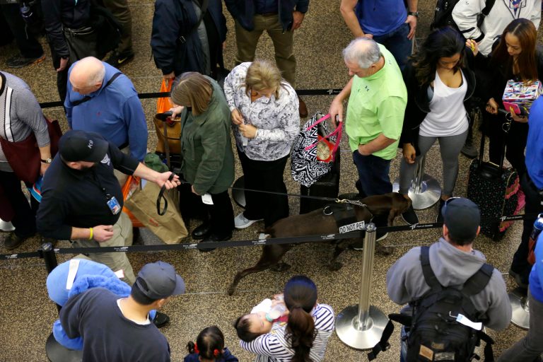Johnson said adding staff at security checkpoints will help TSA 