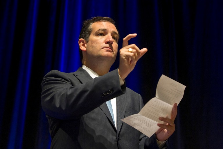 Sen. Ted Cruz, R-Texas, blamed Senate Republicans for failing to unite against Obamacare during the government shutdown. (AP Photo/Austin American-Statesman, Rodolfo Gonzalez)