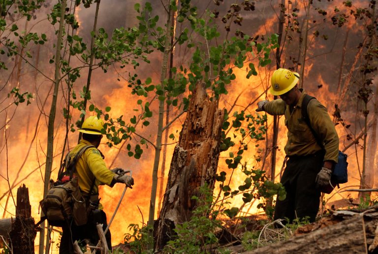 Firefighter Brandon DeLong, left, and Andrew Buus conduct a burnout operation while battling the Las Conchas fire near Los Alamos, N.M., Friday, July 1, 2011. (AP File)