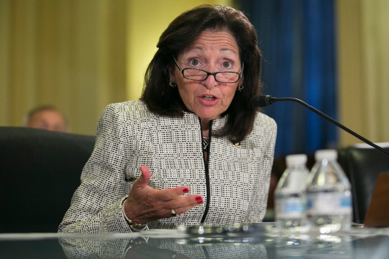 Gina Farrisee, Assistant Veterans Affairs Secretary for Human Resources, testifies before a House Veterans Affairs Committee hearing Friday.ÃÂ (Graeme Jennings/Examiner)