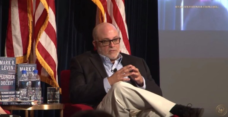 Levin rips firms hiring immigrants: ‘We have people who have these skills’