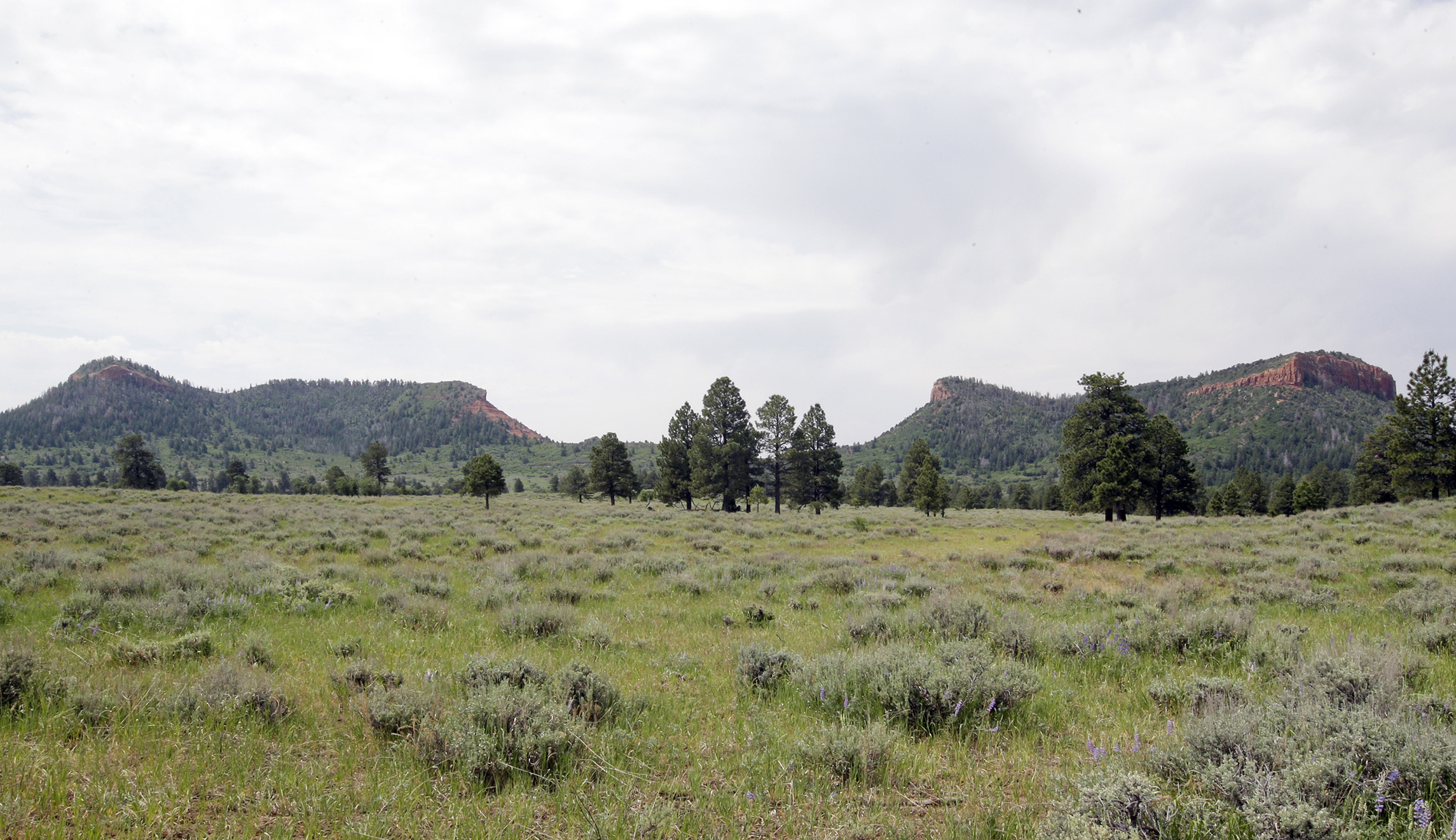 Bears Ears gets no mining applications