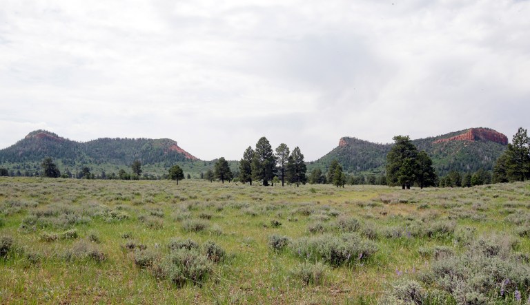 President Trump on Dec. 4 signed a proclamation cutting Bears Ears National Monument by more than 1.1 million acres, or 85 percent, and creating two smaller monuments instead. (AP Photo/Rick Bowmer)