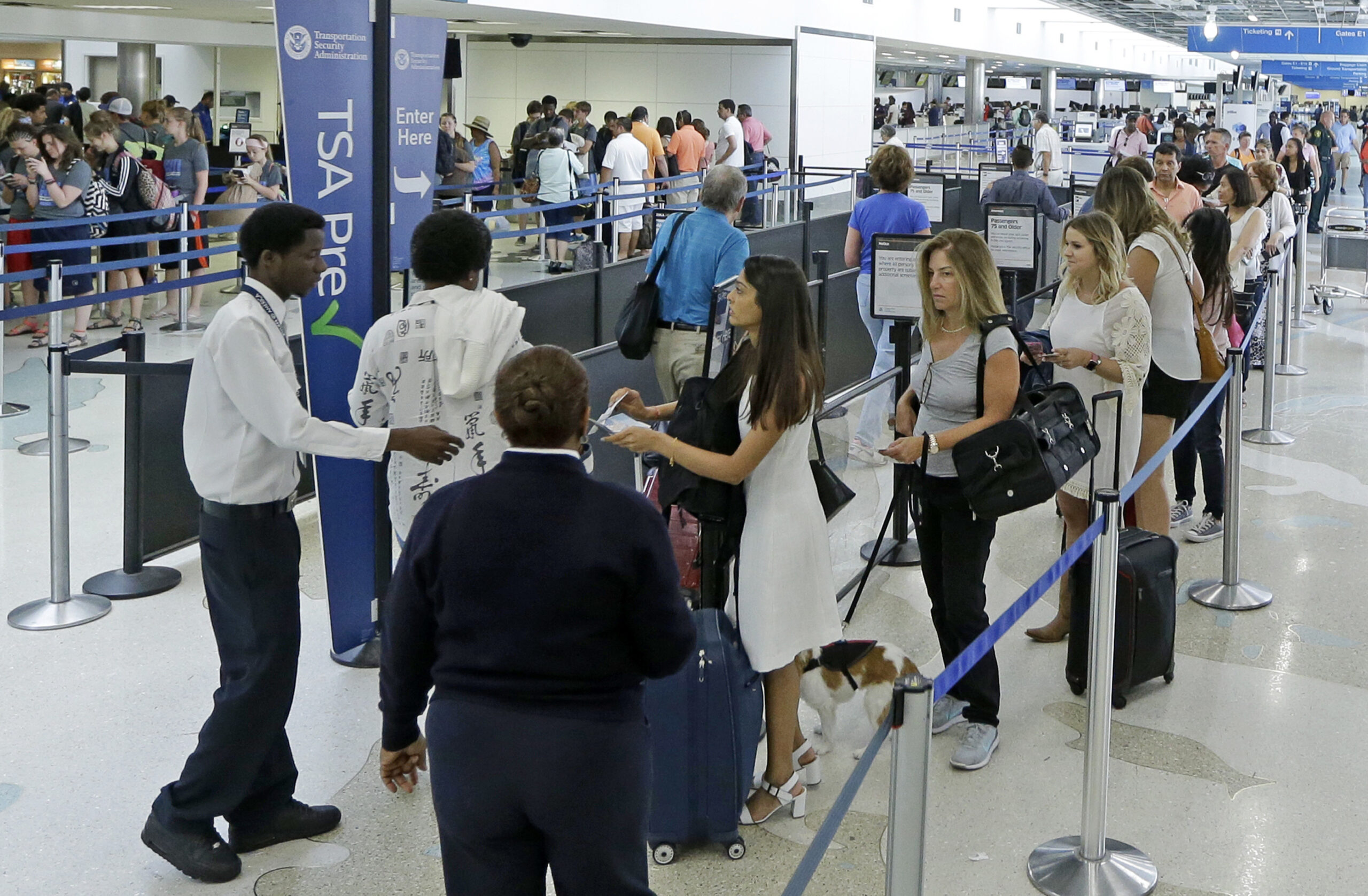 Watchdog: Long airport lines forced ‘honest and objective’ review at TSA
