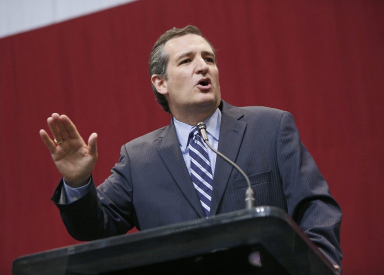 Sen. Ted Cruz speaks during the victory party for Texas Attorney General and Republican gubernatorial candidate Greg Abbott on November 4, 2014 in Austin, Texas. (Photo by Erich Schlegel/Getty images)