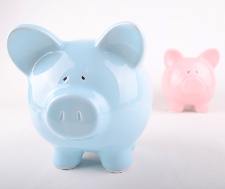 More evidence the gender wage gap is due to choice, not discrimination