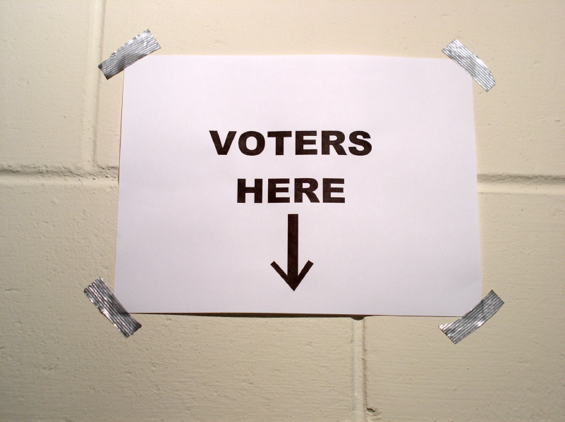 House panels told Obama immigration order may enable voter registration fraud