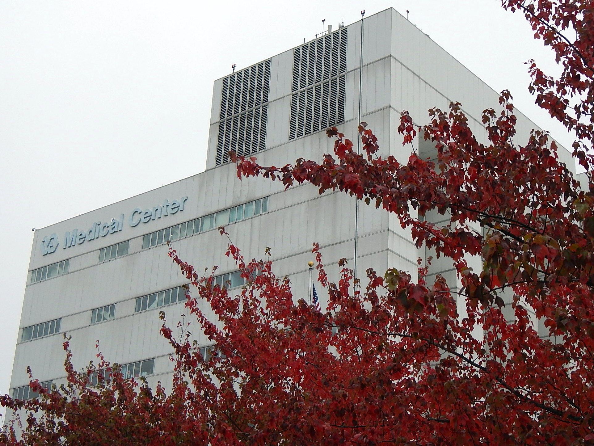KUOW Washington: Veterans Affairs makes getting information even harder
